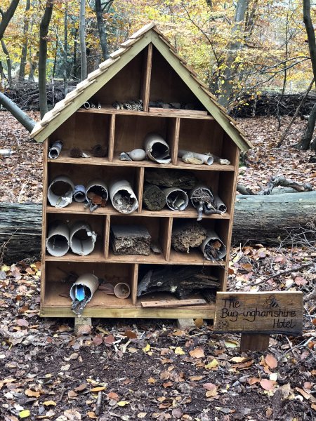 imagesGalleryBug hotel 2.jpg
